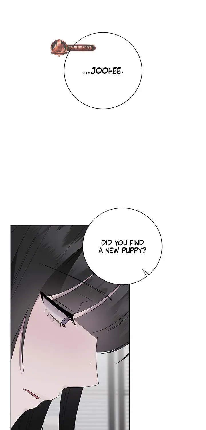 Jiwoo's Master — Chapter 35 — Page 46